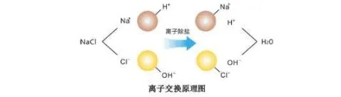 阴离子交换器原理图